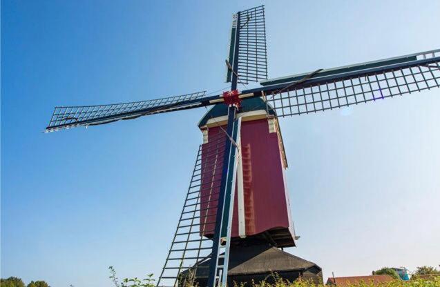 Huisje Vogelenzang Zeeland Sint-Annaland Eksteriør bilde