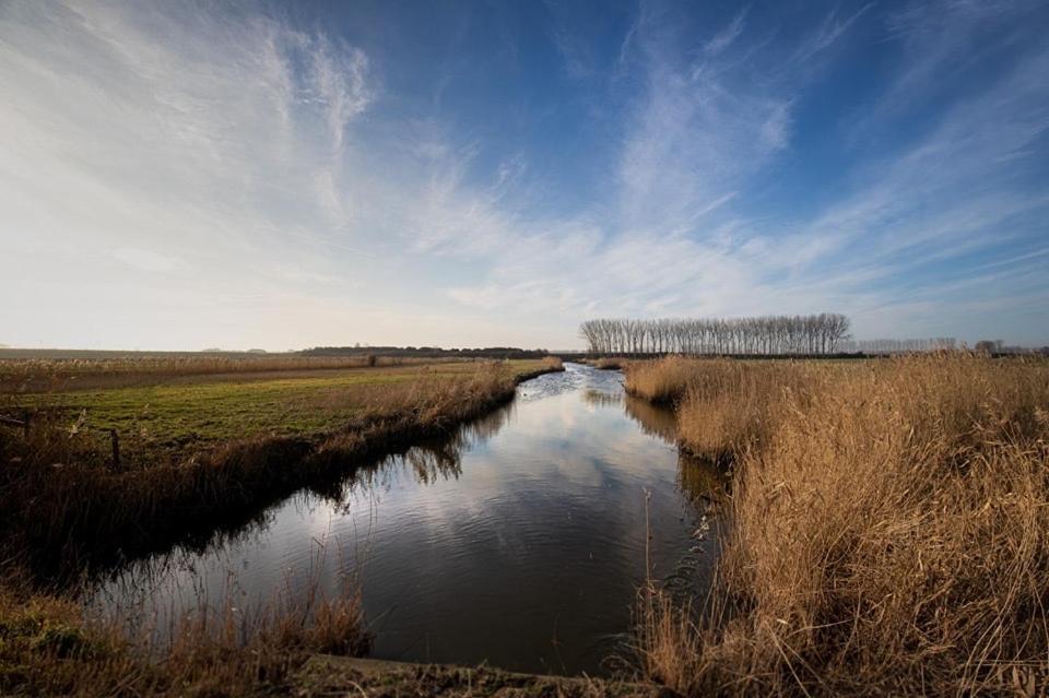 Huisje Vogelenzang Zeeland Sint-Annaland Eksteriør bilde