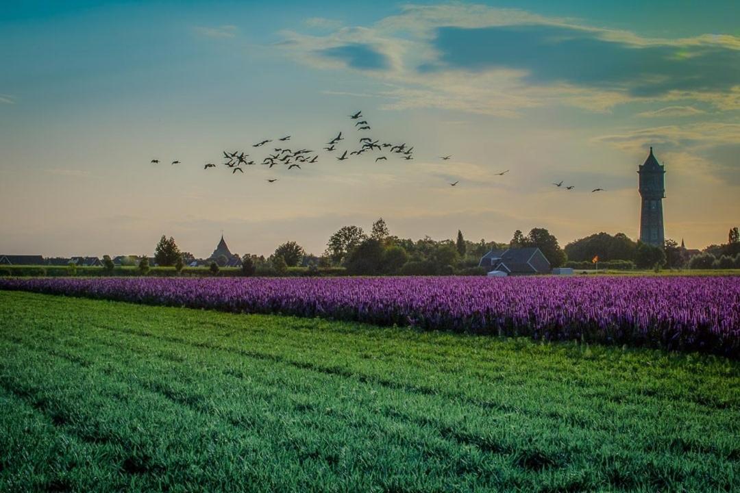 Huisje Vogelenzang Zeeland Sint-Annaland Eksteriør bilde